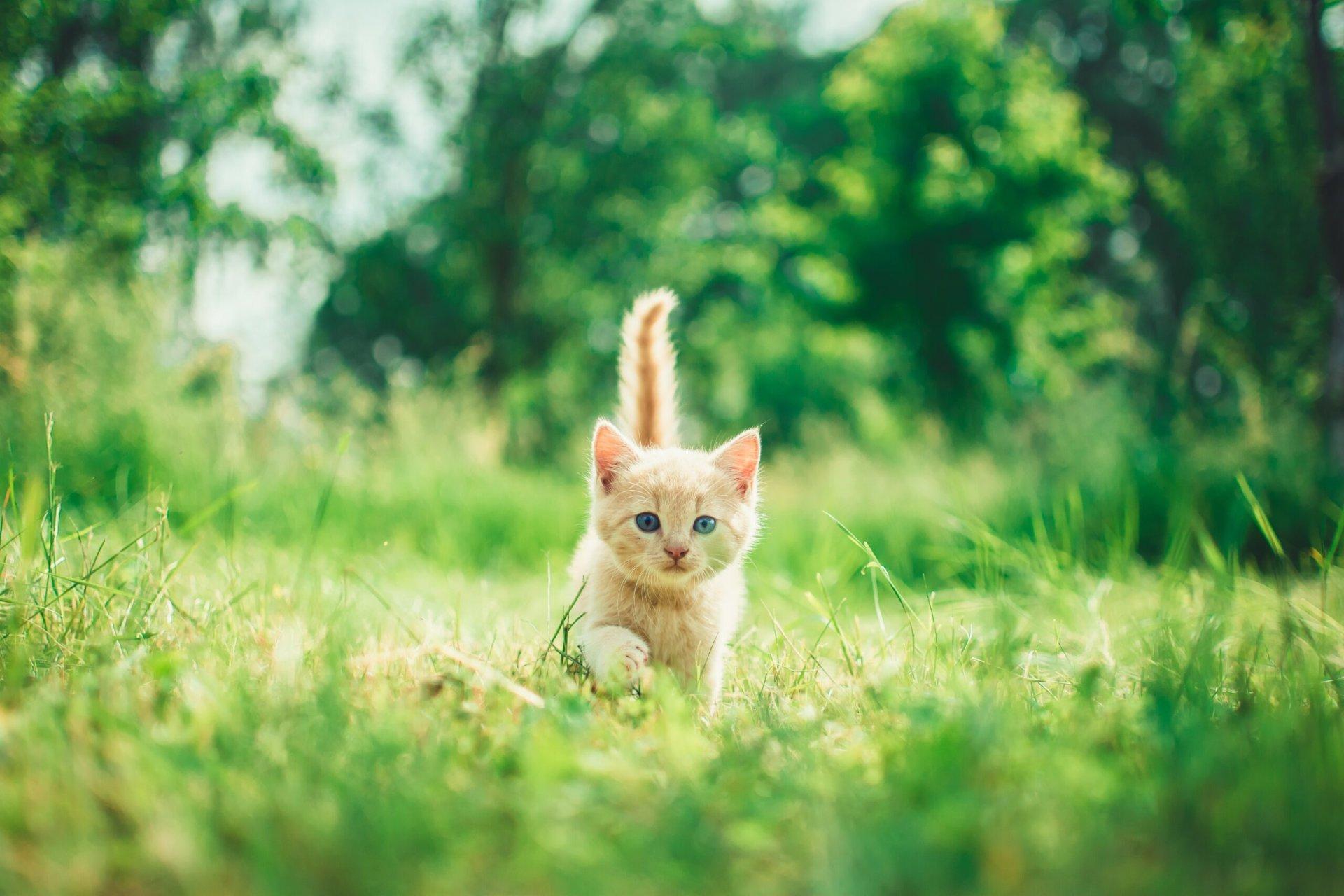 andriyko-podilnyk-RCfi7vgJjUY-unsplash-scaled