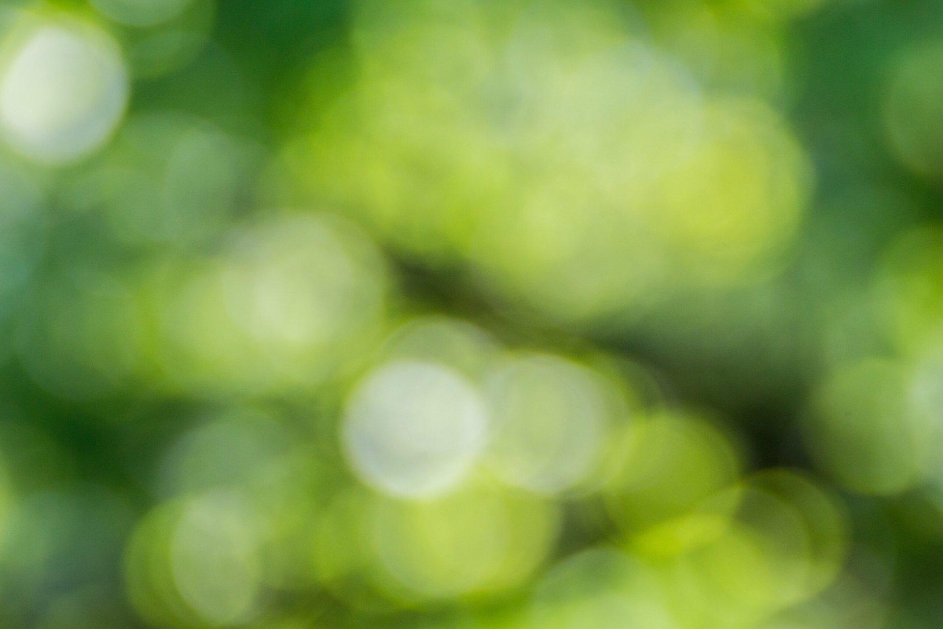 artur-luczka-loAfOVk1eNc-unsplash-scaled_0