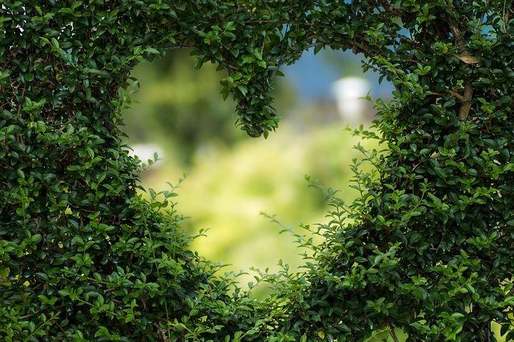 heart-1192662__480