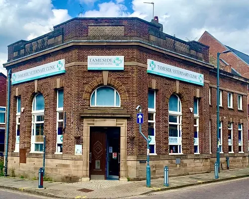 Stalybridge pic (2)